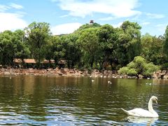 -石家庄市动物园