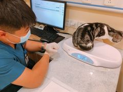 -萌兽医馆·犬猫专科·眼科中心·宠物医院(朝阳门分院)