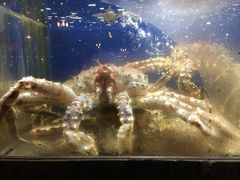 -鱼乐轩海鲜专门店