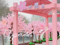 -金茂览秀城