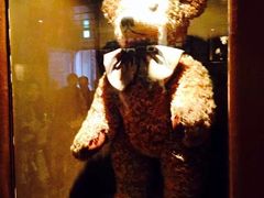 -济州岛泰迪熊博物馆