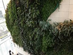-香港唯港荟 Hotel ICON – The Market
