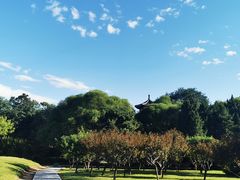 -莲花池公园