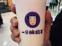 -一只酸奶牛(宝塔区万达店)