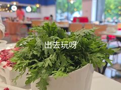 -八合里潮汕鲜牛肉火锅(吉大店)