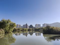 -长兴太湖图影湿地文化园