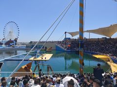 -秦皇岛乐岛海洋王国