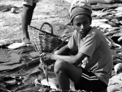 -尼甘布海鲜市场