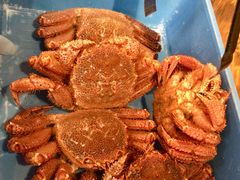 -蟹道乐(道顿堀本店)