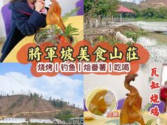 -将军陂美食山庄·瓦缸炭烧鸡
