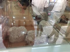 -杨招娣糕点(装驾桥巷店)
