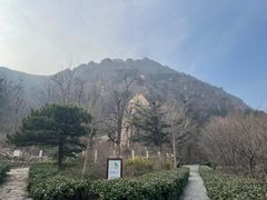-北京鹫峰国家森林公园