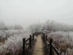 -阳台山自然风景区