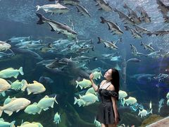 -波塞冬旅游度假区