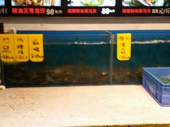 水产区-飞尝蚝·顺德菜·鱼生(顺德总店)