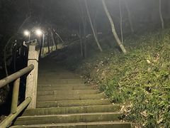 -峙山公园