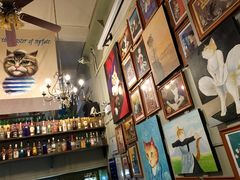-猫咪博物馆(顶澳仔猫街店)