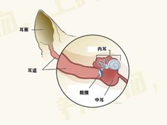 -瑞鹏宠物医院犬猫全科(真大分院)