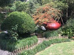 -十八棵（老龙井）御茶园(老龙井店)