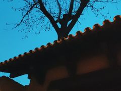 -静园(和平区)