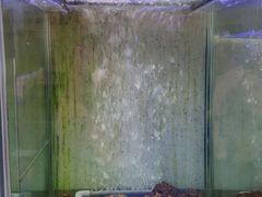 -旅南活海鲜-屏东(墾丁海鮮，海鮮餐廳，墾丁團體合菜，平價熱炒，墾丁熱炒店，活海鮮推薦，在地海鮮餐廳)