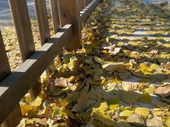 -荣德灶台鱼(圣泉寺店)