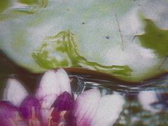 -河南省黄河迎宾馆