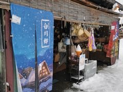-白川乡与五箇山的合掌构造村落