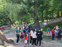 -阳台山自然风景区