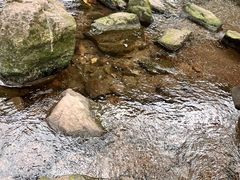 -重庆彩云湖湿地公园