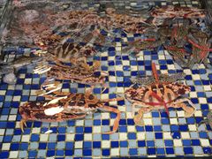 -顺德了能馆(虎门店)