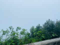 -板樟山森林公园