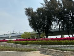 -宝安西湾红树林湿地公园