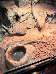 -酷嗒动物文化乐园(cutezoo西溪乐天城店)