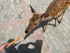 -中华郡文化旅游景区