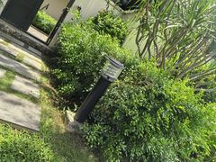 -三亚亚龙湾铂尔曼别墅度假酒店