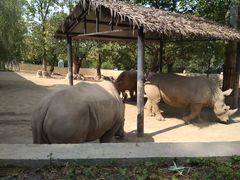 -西安秦岭野生动物园