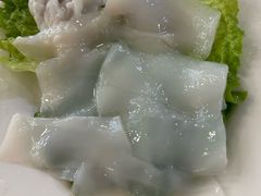 -金砂阿洲鱼册店