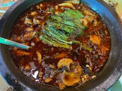 -都江堰石锅鱼