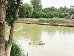 -西安浐灞国家湿地公园