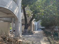 -湖北美术学院(昙华林校区)