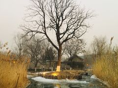 -春风习习