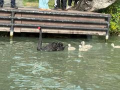 -扬州瘦西湖船宴