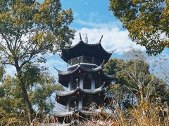 -温州永嘉书院