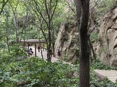 -大岭沟猕猴桃谷风景区
