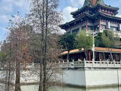 -顺峰山公园