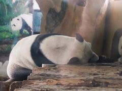 -南昌动物园