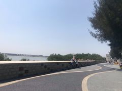 -宝安西湾红树林湿地公园