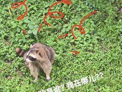 -广州动物园