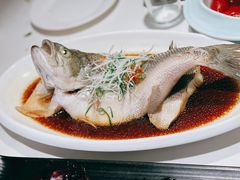 清蒸鲈鱼-永乐饭庄(安德路店)